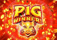 Pig Winner Logo